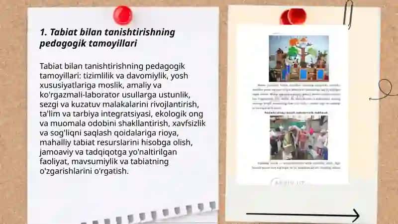 Tabiat bilan tanishtirish tamoyillari 3