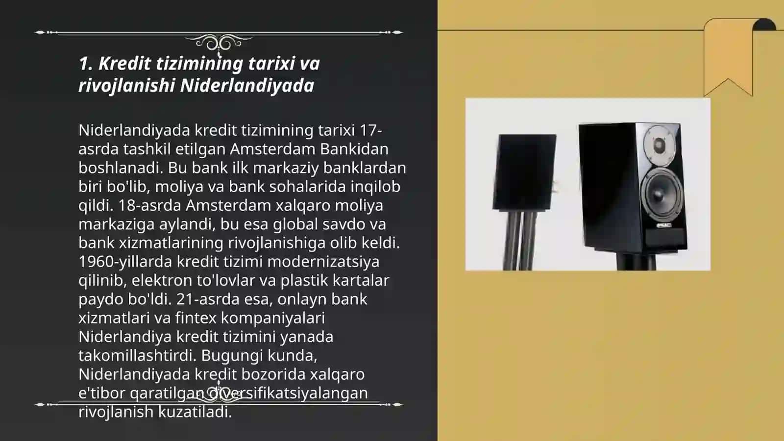 Niderlandiya mamlakatida kiredit tizmi 3
