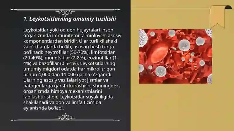 Leykotsitlar va ularning tibbiyotdagi ahamiyati 3
