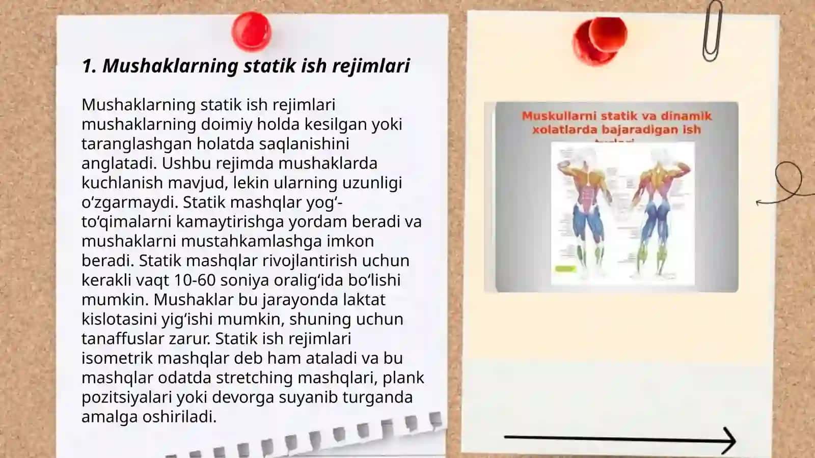Mushaklarning statik ish rejimlari 3