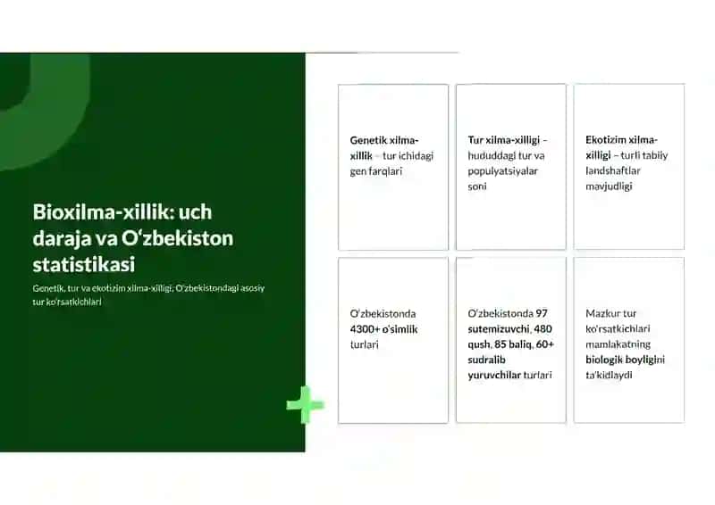 Ta'limda ijtimoiy tarmoqlarning ma'noli qo'llanishi 3