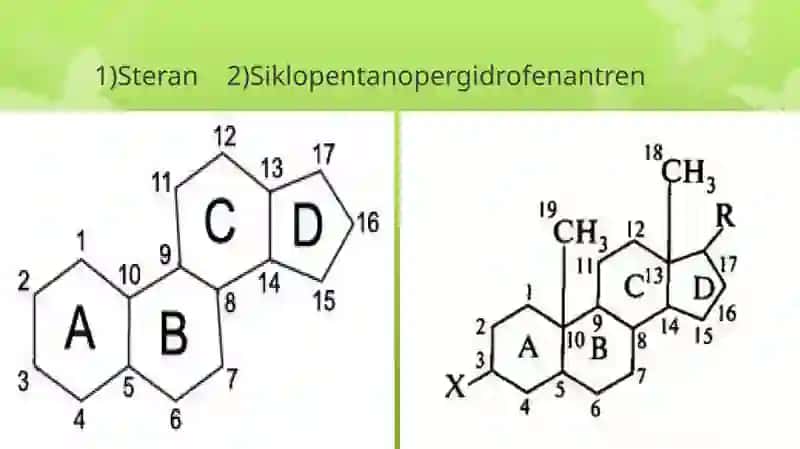 Steroidlar to'lqinlari 3