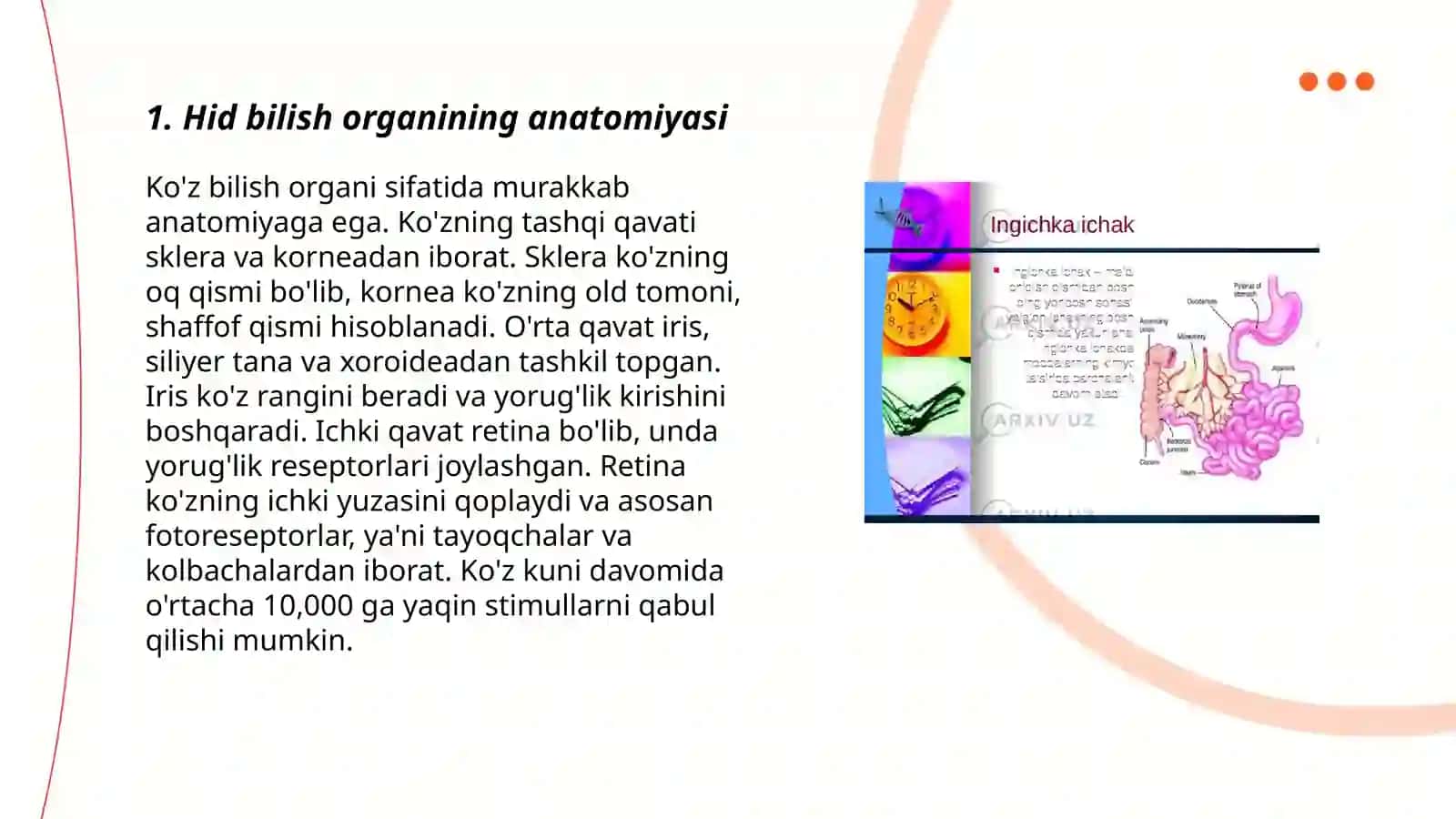 Hid bilish organining tuzilishi va uning regeneratsiya qilish xususiyatlari 3