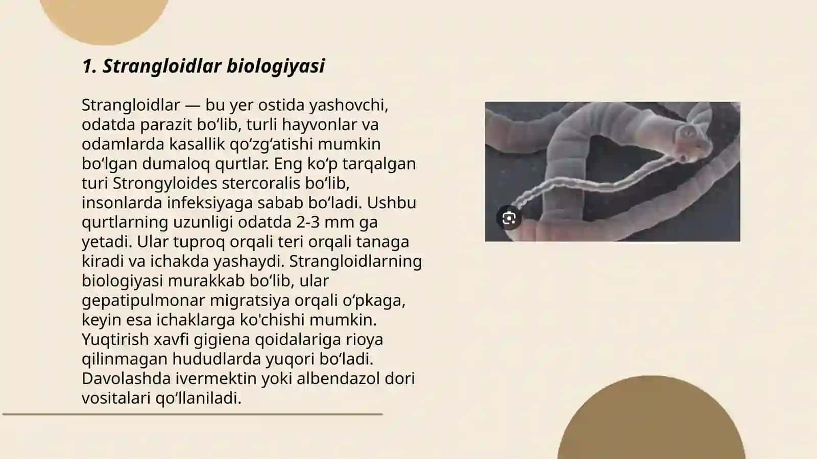 Strangloidlar biologiyasi 3