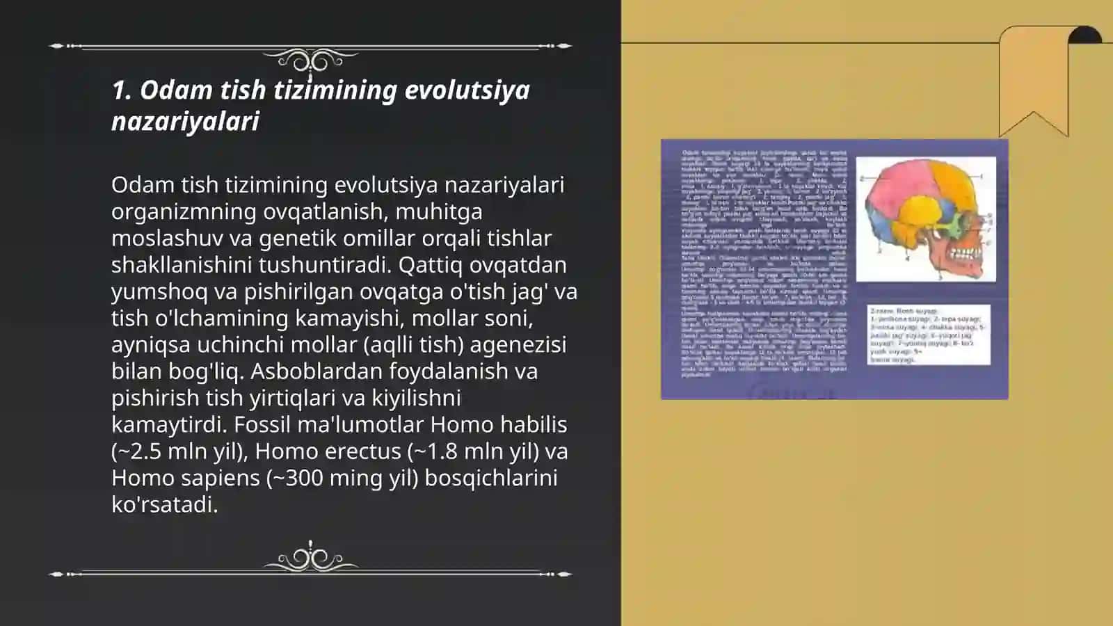 Odamlar tish tizimining evolutsiyasi 3