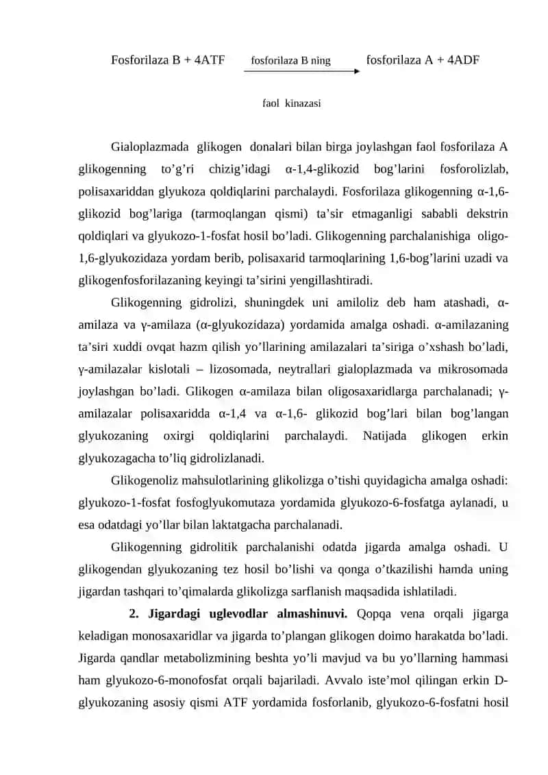 Glikogenning sintezi va parchalanishi 3