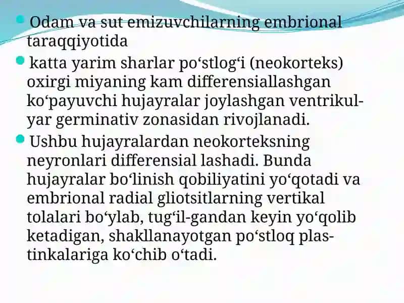 Boshmiyayarimsharlaripo’stlog’ining Morfogenezi 3
