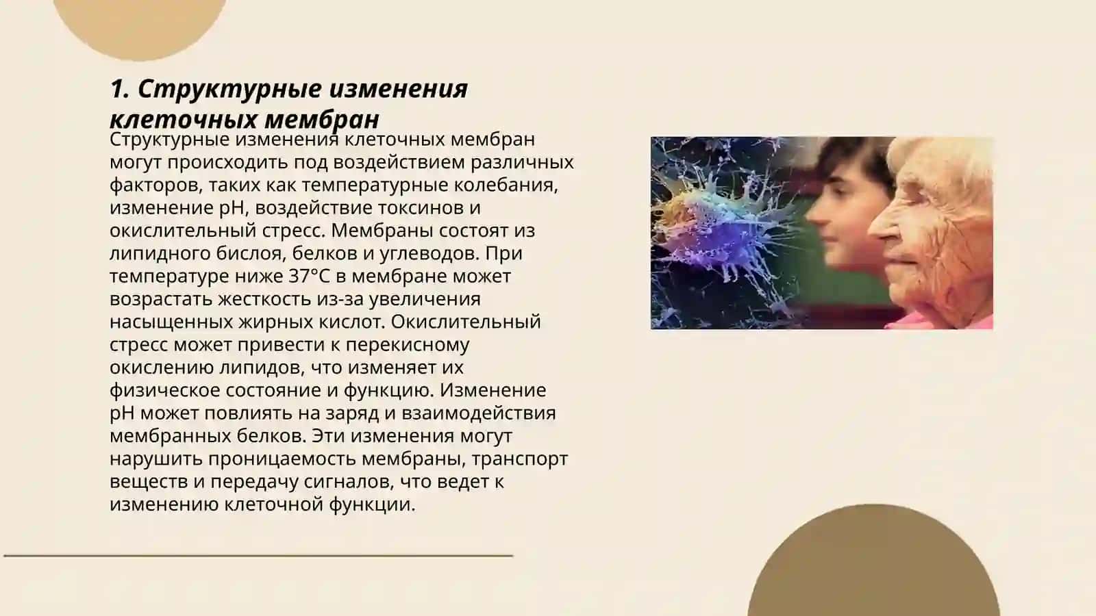 Биологические компоненты старения 3