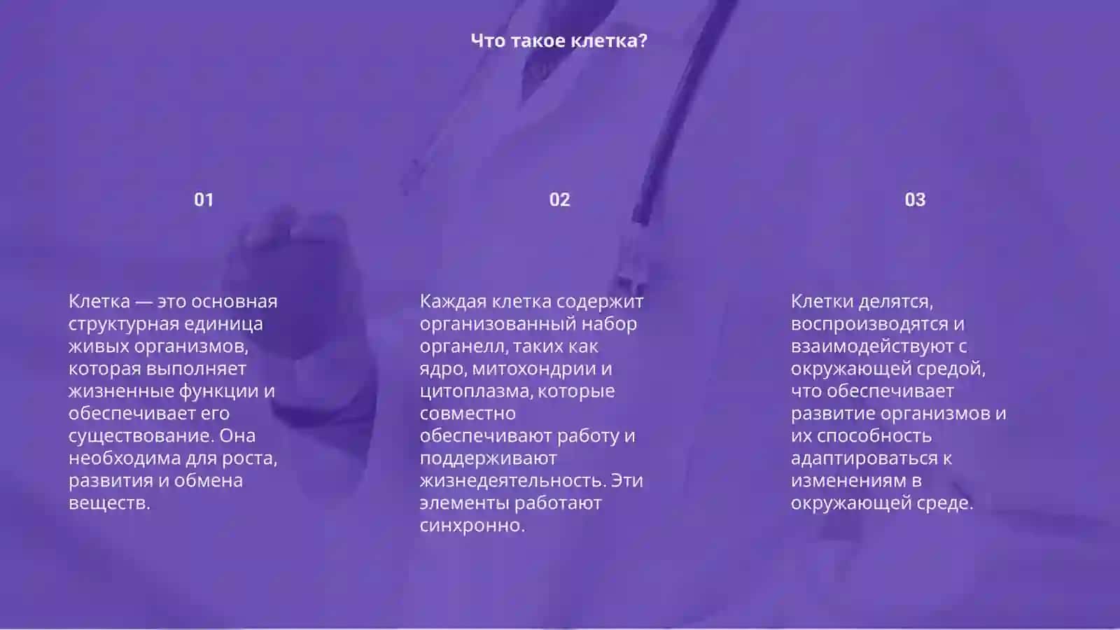 Клетка 3