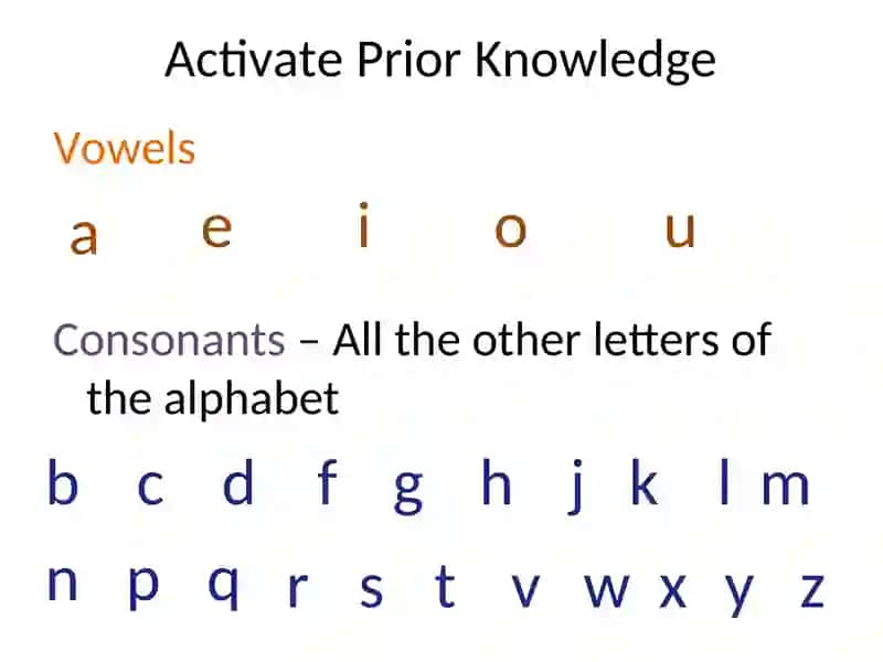 Regular and Irregular Plurals 3