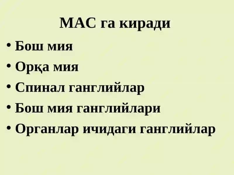 МАТ фаолиятининг рефлектор тамойилари. Асаб марказларнинг хоссалари 3