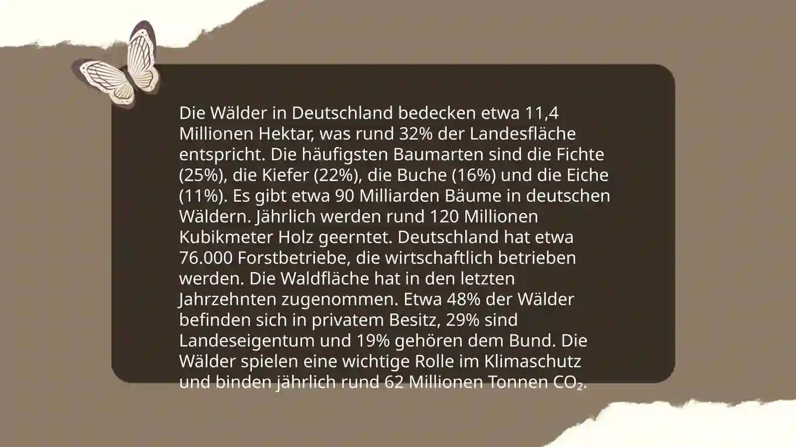 Wälder in Deutschland 3