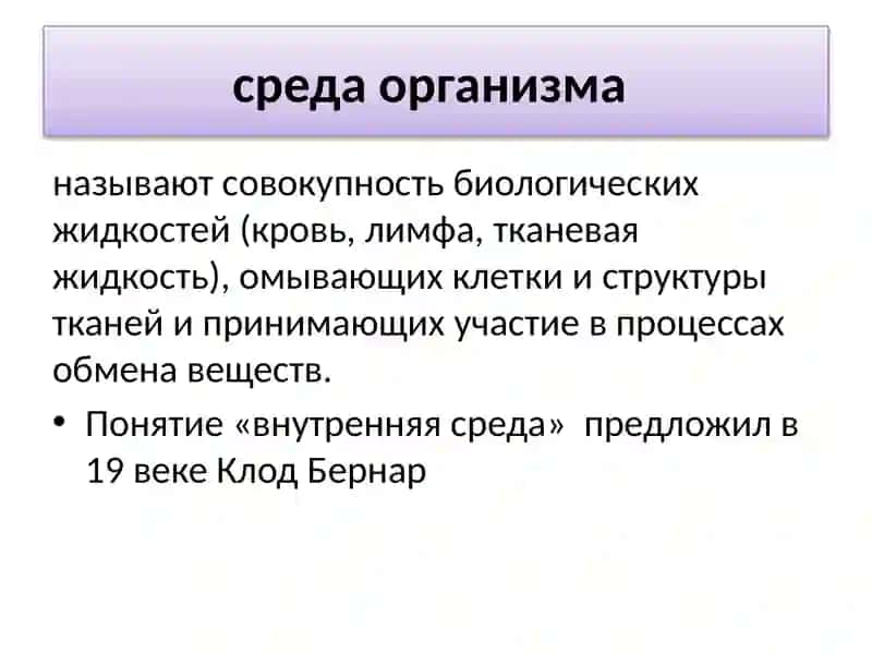 Внутренние жидкости и их физиологические значения 3