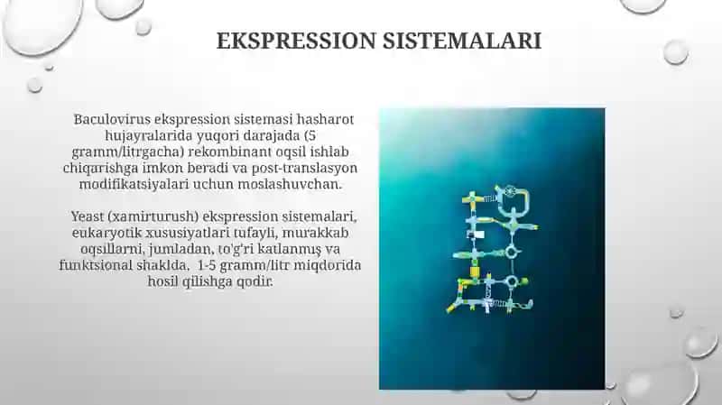 Gen muhandisligi yordamida noyob oqsillarni sintezlash 3