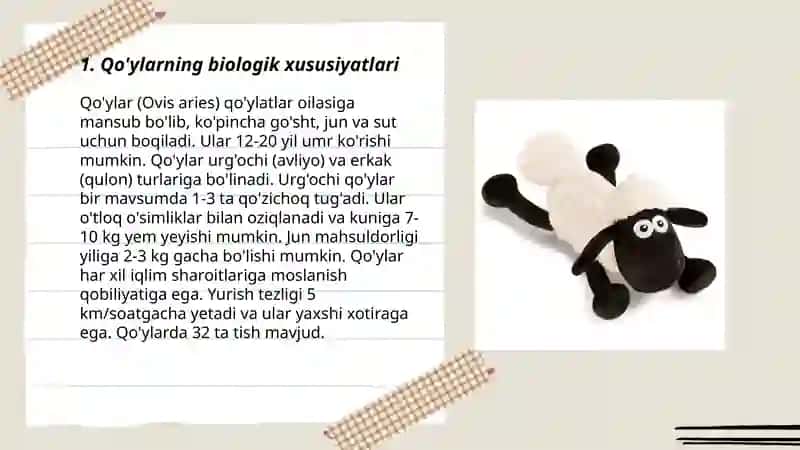 Qo'yim va uning miqdoriy koʻrsatgichlari 3