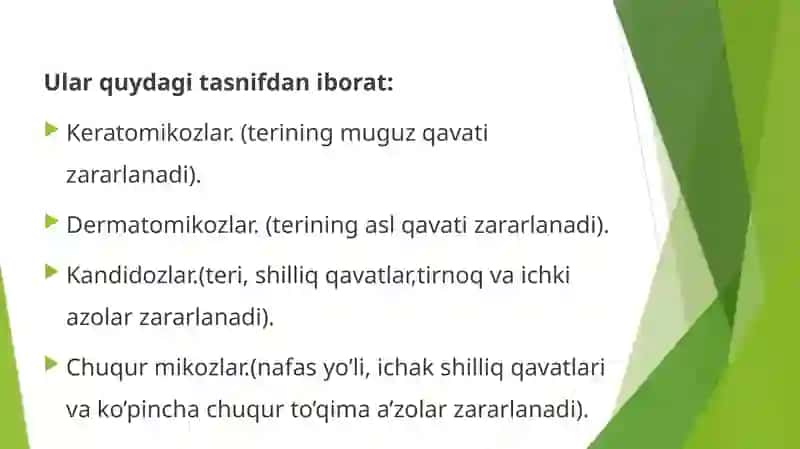 Terini Zamburugʻlikasalliklari 3