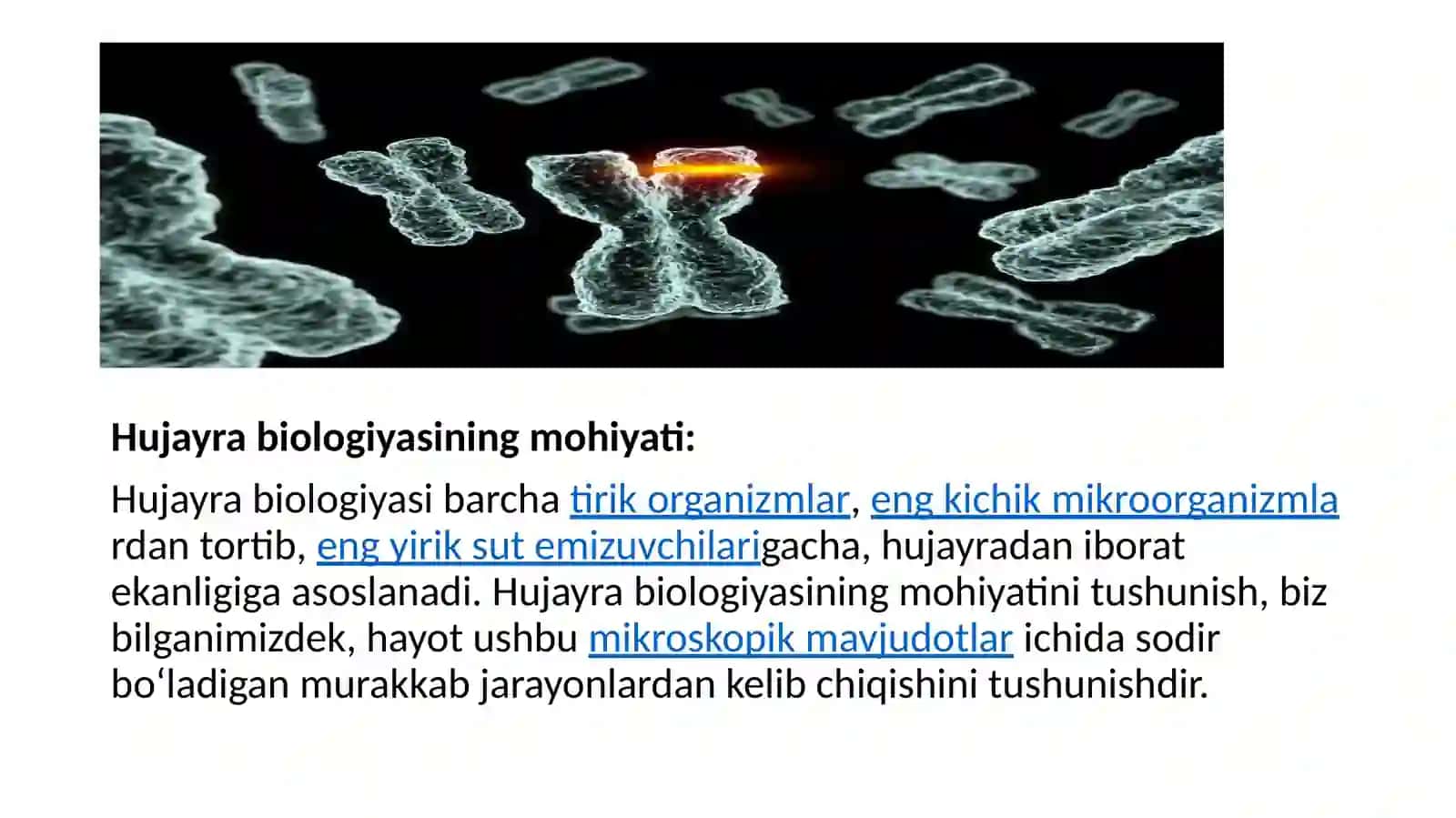 Hujayra biologiyasi. Gen terapiyasi. Klonlar, klonlashtirish 3