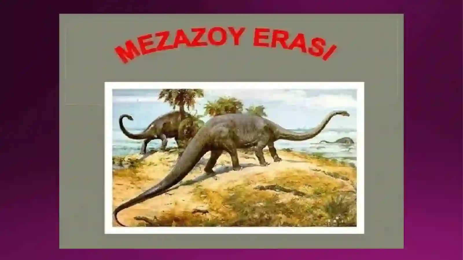 Mezozoy va qanyazoy eralaridagi xayot 3