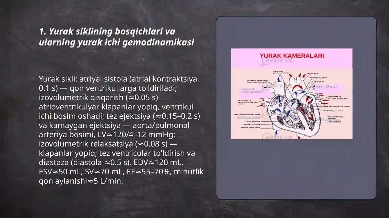 Normada yurak ichi gemodinamikasi 3