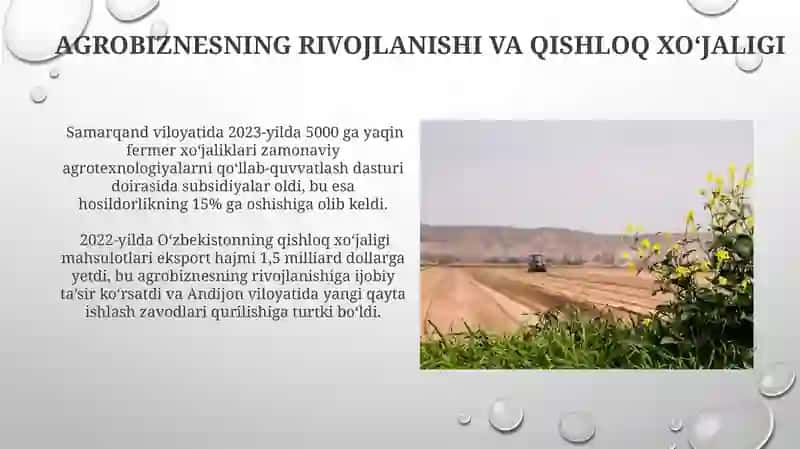 Agrobiznesvaqishloqxo’jaligimunosabatlari 3