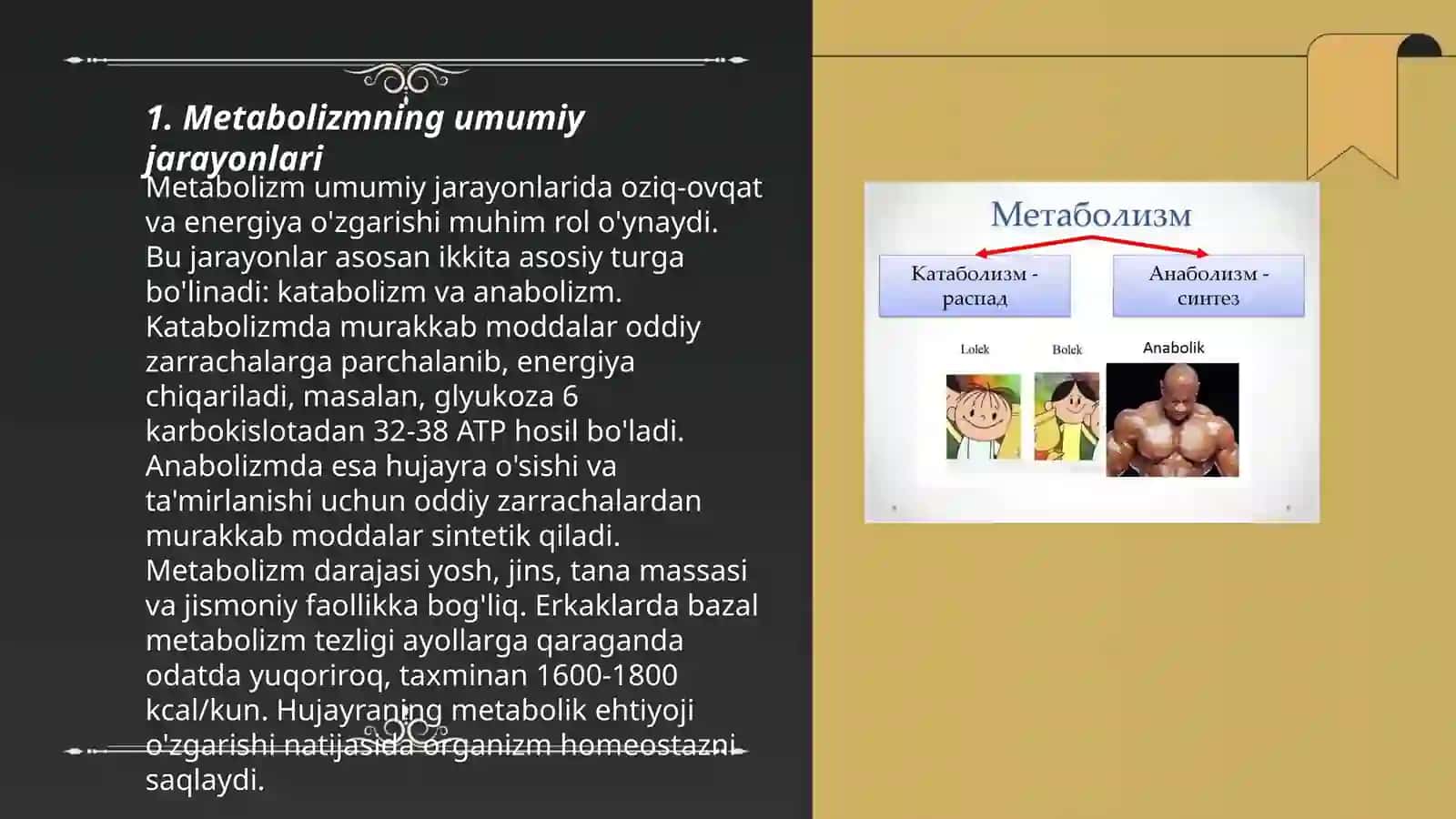 Metabolizm jarayonida energiya hosil bo'lishi va sarflanishi 3