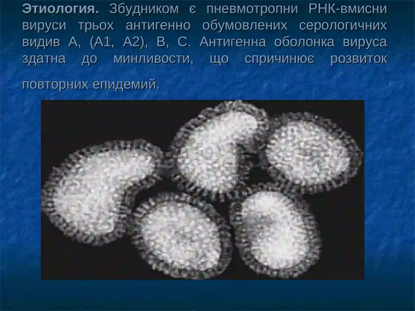 Патоморфология инфекций, передающихсявоздушно-капельным путем 3