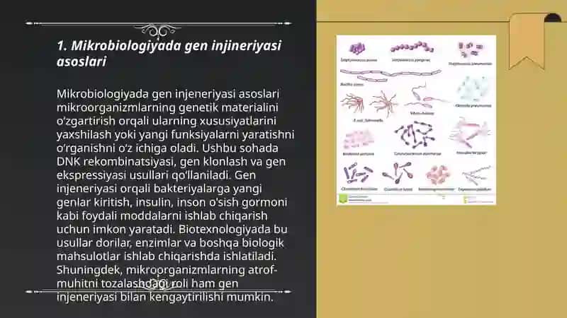 Mikroorganizmlerde gen injineriyasi 3