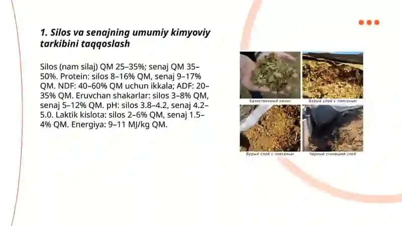 Silos va senajning kimyoviy tarkibi va toʻyimliligini oʻrganish 3