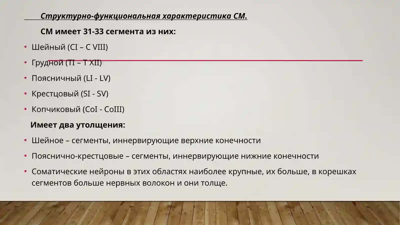 Рефлекторная и проводниковая деятельность спинного мозга 3