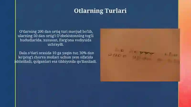 Ot Nomlarining Vazifalari 3