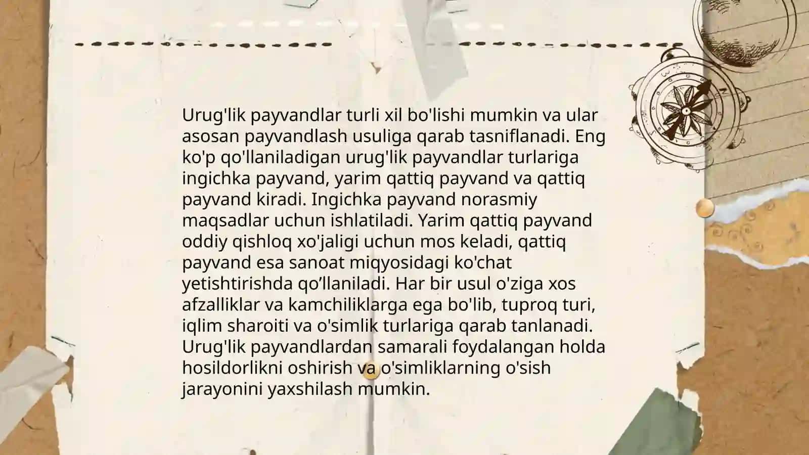 Urug’lik payvantaglarni yetishtirish 3