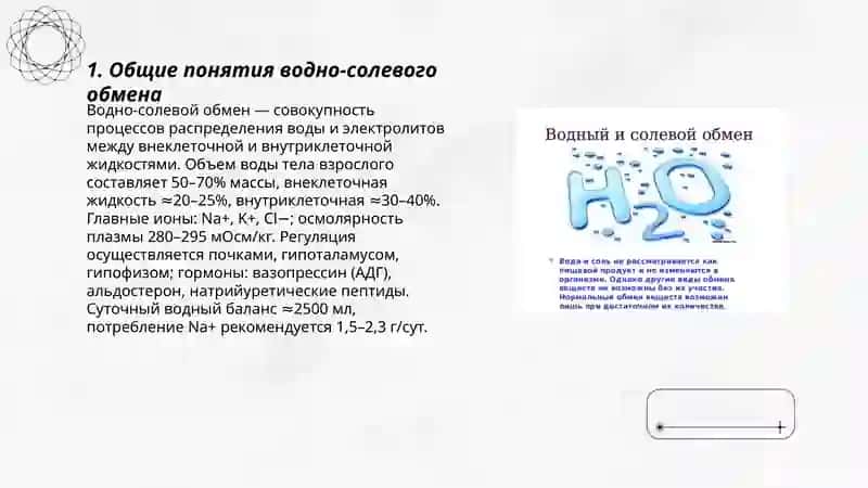 Водно-солевой обмен 3