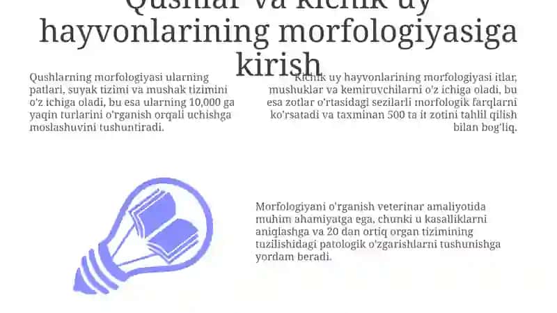 Qushlar va kichik uy hayvonlarining morfologiyasi 3