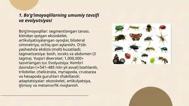 Boʻgʻimoyoqlilar tipi tavsifi va klassifikatsiyasi 3