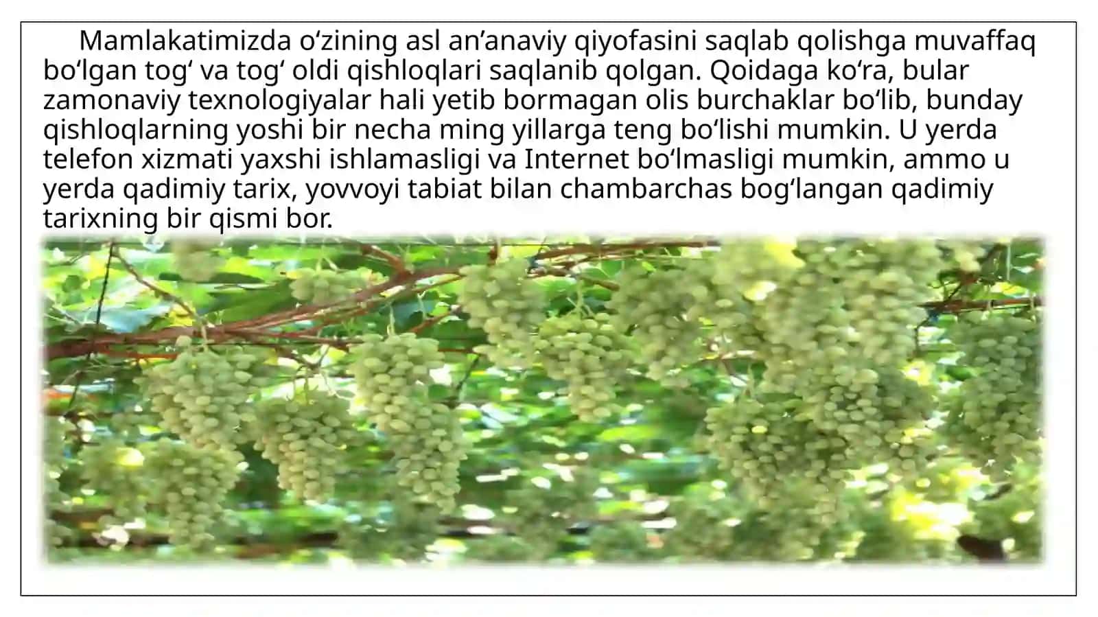 Ekologik turizm fanidan tayyorlagan taqdimot 3