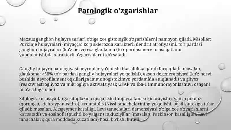 Gangliy hujayra gistologiyasi 3