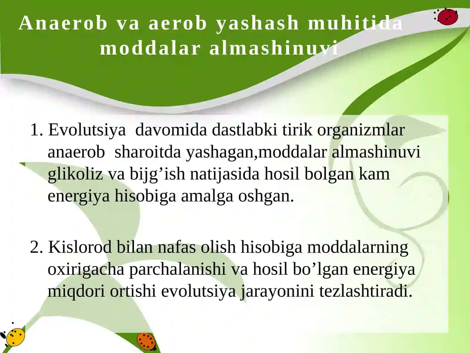 Hayvonlarning nafas olish organlari evolutsiyasi 3