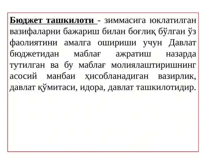 Byudjet tashkilotlarida Byudjet hisobining tashkiliy – uslubiy jihatlari 3