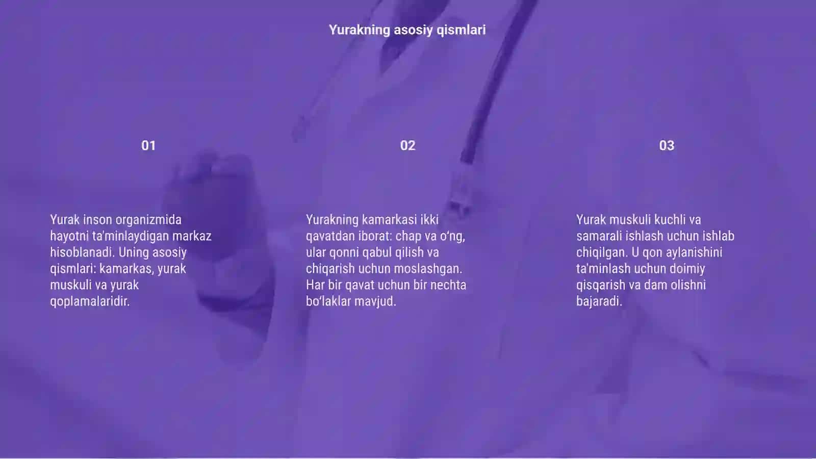 Yurak anatomiyasi 3