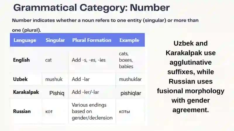 The noun and its grammatical categories in the English and Uzbek (Karapalpak, Russian) languages 3