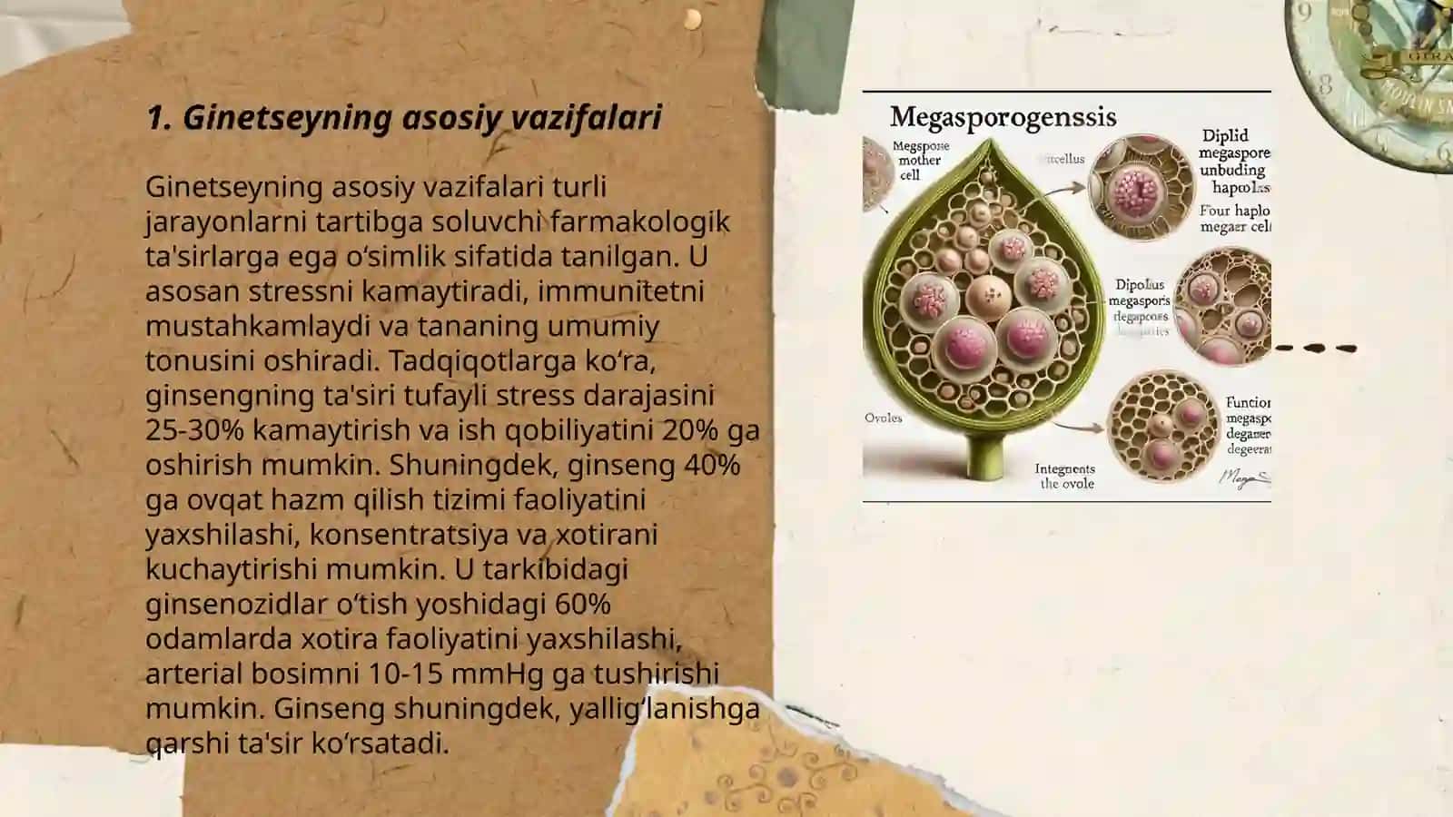 Ginetseyning tuzilishi va turlari. Megosporogenez haqida umumiy tushuncha 3