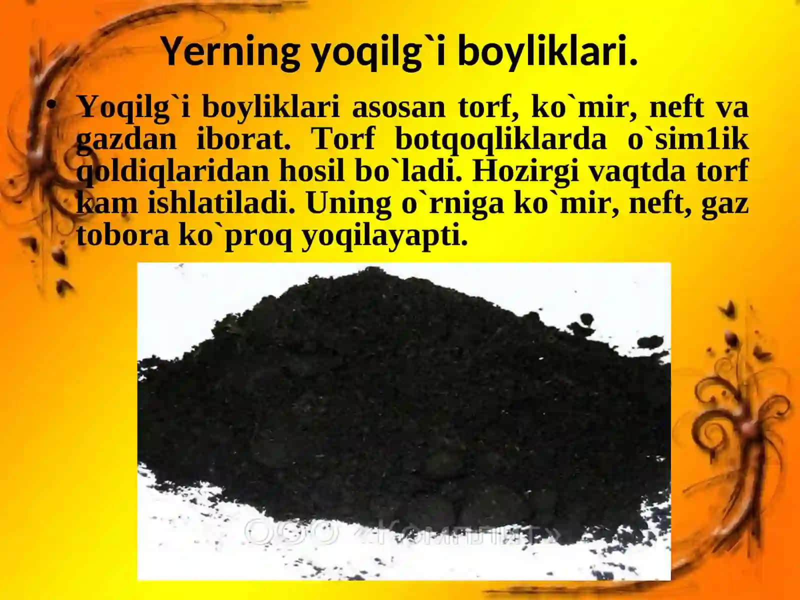 Yer toshqobig`ining asosiy boyliklari 3