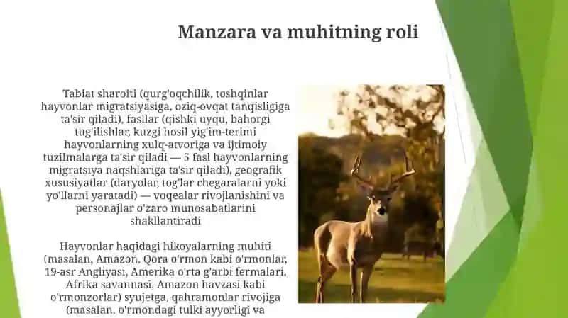 Hayvonlar haqida ertak 3