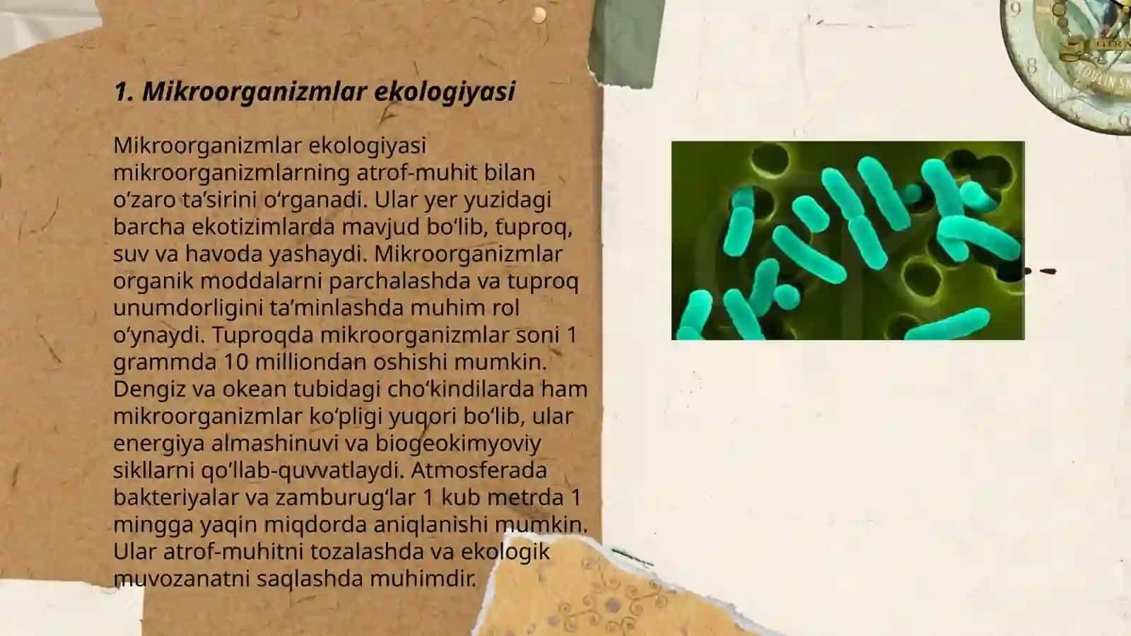 Mikroorganizmlarning ekologik va sistematik guruhlari 3