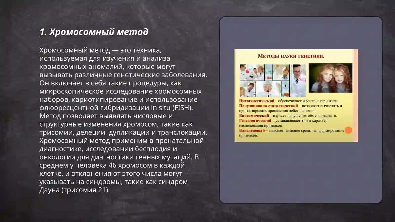 Методы изучения генетики человека: цитогенетический и популяционная статистические методы 3