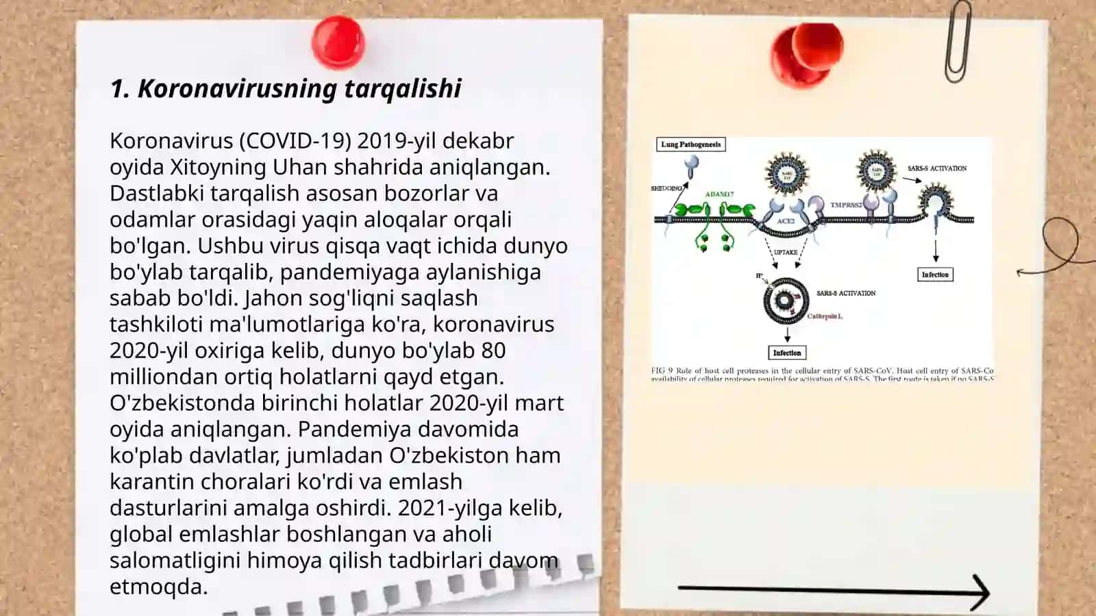 Nafas yoʻllari infeksiyasi.Koronavirus,gripp 3