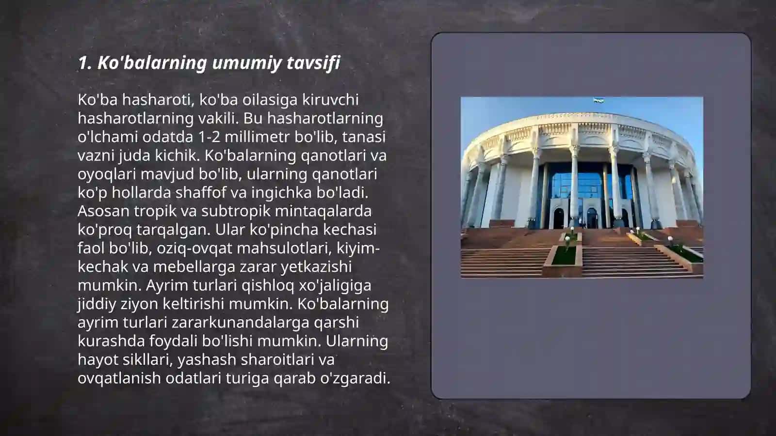Ko'balarning turlari va ularni ishlatilishi 3