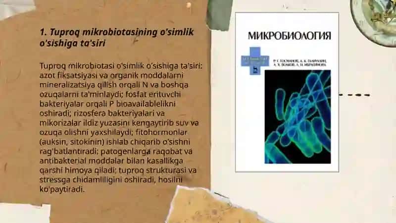 Mikrobiologiyaning tabiat va qishloq xo'jaligi va sanoatdagi ahamiyatini kengroq o'rganish 3