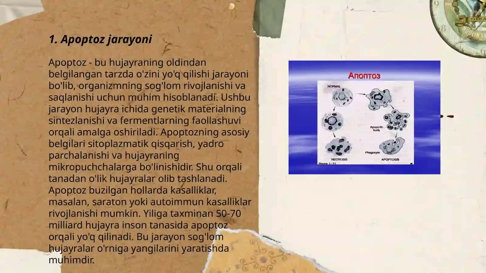Apaptoz 3