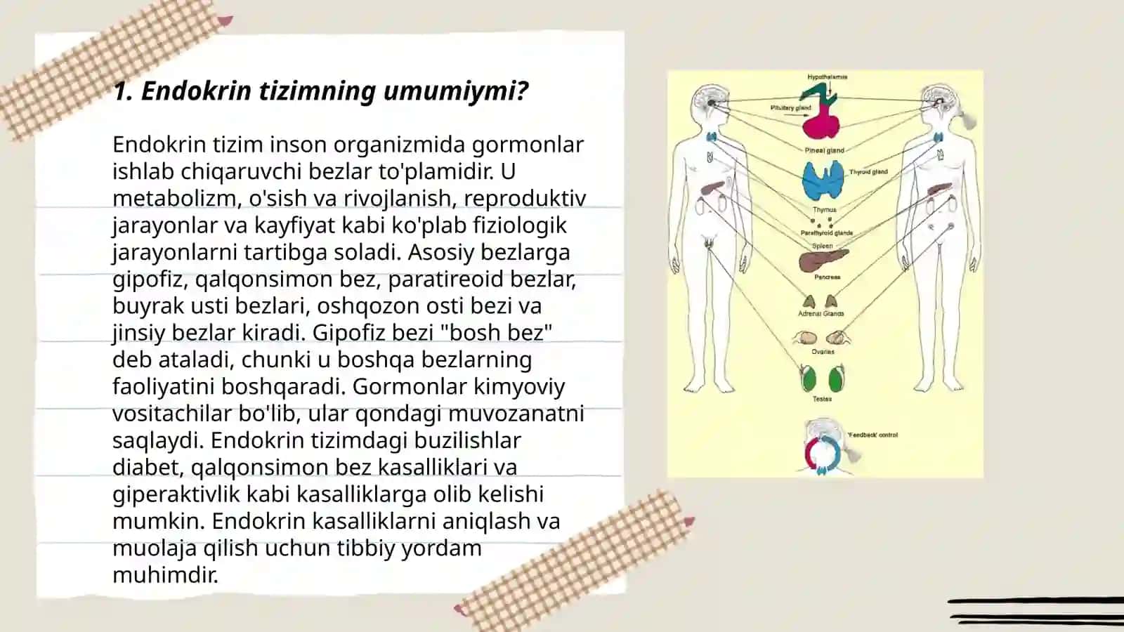 Hazmlanish jarayonining endokrin boshqariluvi. Me'da-ichak nayining endokrin hujayralari 3